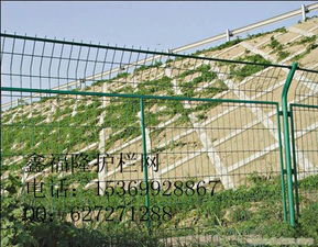 安平鑫福隆金屬絲網(wǎng)制品廠 專業(yè)供應(yīng)各類護(hù)欄網(wǎng)與防護(hù)設(shè)施