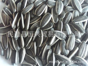 民勤縣東湖易發(fā)農(nóng)副產(chǎn)品購銷站 優(yōu)質(zhì)食品銷售新選擇