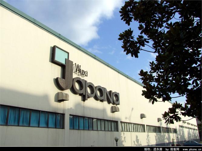 外商獨資與合資 外商投資企業的利弊分析與選擇策略